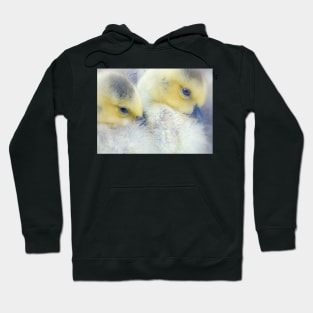 Sleepy time Hoodie